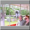 Disneyland0089.html