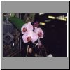 orch1.html