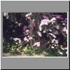 orch7.html